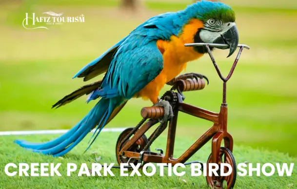 Creek Park Exotic Bird Show Ticket