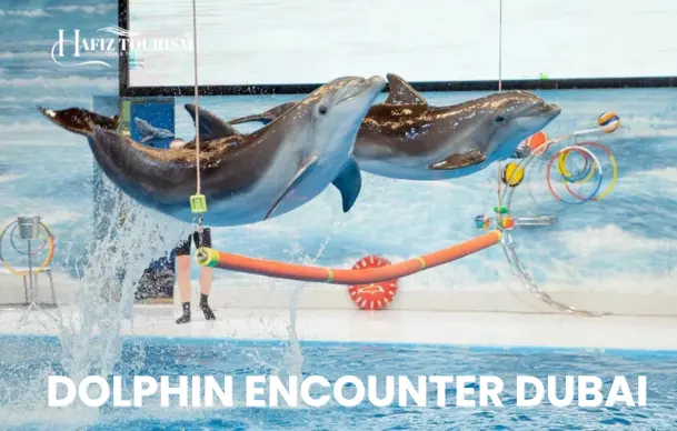 Dolphin Encounter Dubai