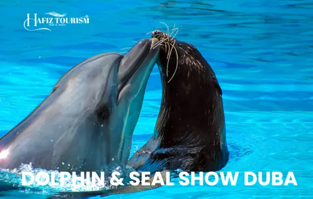 Dolphin and seal show
