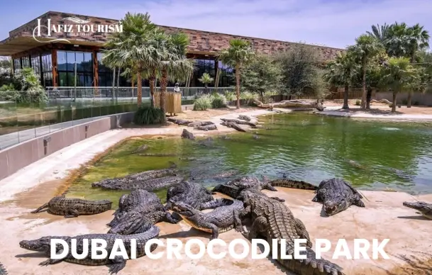 Dubai Crocodile Park