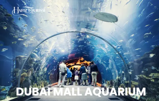 Dubai Mall Aquarium..