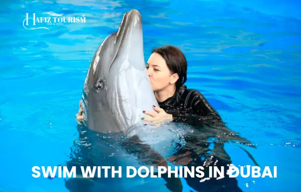 Swim with Dolphins In Dubai