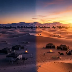Desert Safari From Dusk Till Dawn 21 Secrets to the Longest Night