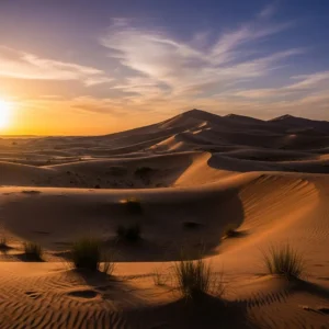 Without Tight Schedules 10 Flexible Secrets for Dubai Desert Safari