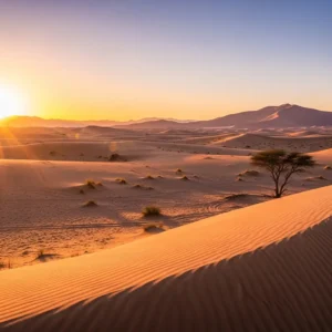 Desert Safari Landscapes offer a visual feast of rolling dunes and ancient geology. Explore the best scenic routes and photography spots with HT Desert Safari today.