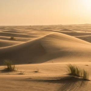 Meta title: Desert Safari Natural Sounds: 15 Auditory Secrets of the Wind